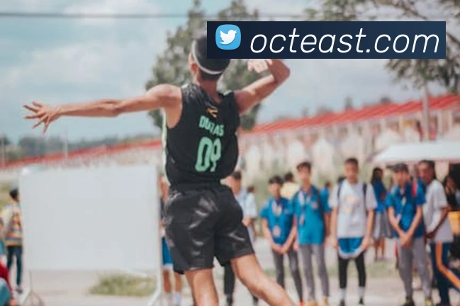 c7网站平台生态图