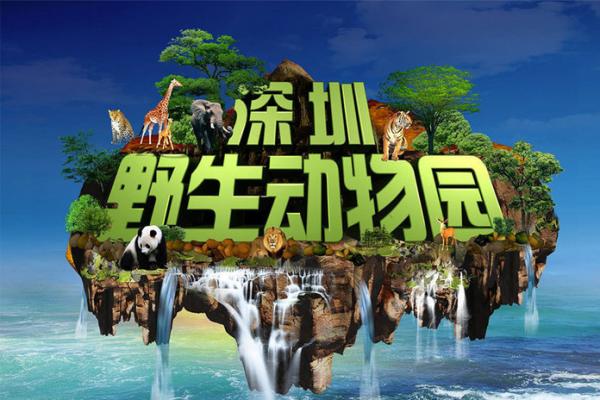 华侨城度假区住宿怎么安排?住一晚能带来哪些变化 华侨城度假区住宿怎么安排?住一晚能带来哪些变化