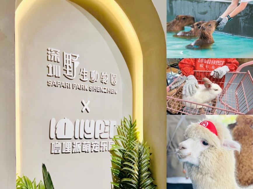 旅游度假地产周边出游看什么?生活配套与自然资源同样重要 旅游度假地产周边出游看什么?生活配套与自然资源同样重要